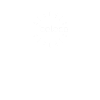 Ein schwarzes Logo mit dem Text 'celseo' und einem strahlenden Design, das Partnerschaft und Qualität symbolisiert.